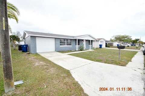 Umber, HOLIDAY, FL 34691