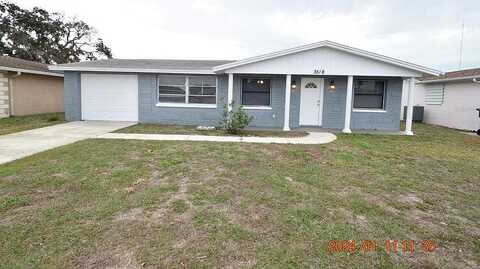 Umber, HOLIDAY, FL 34691