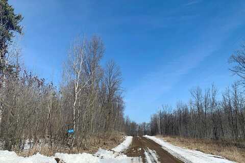 201St, BAGLEY, MN 56621