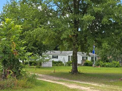 Sunny, BLACKSHEAR, GA 31516