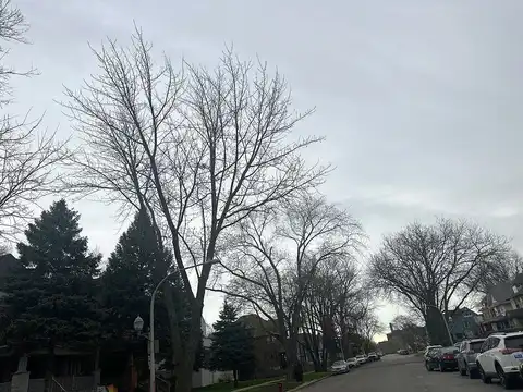 Race, CHICAGO, IL 60644