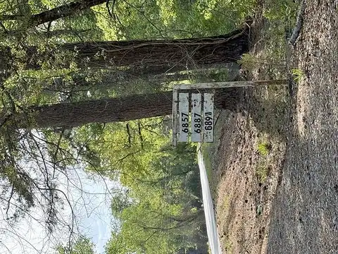 Highway 129, FAYETTE, AL 35555