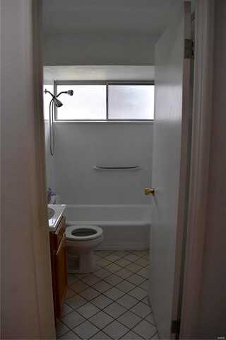 Michigan, SAINT LOUIS, MO 63111
