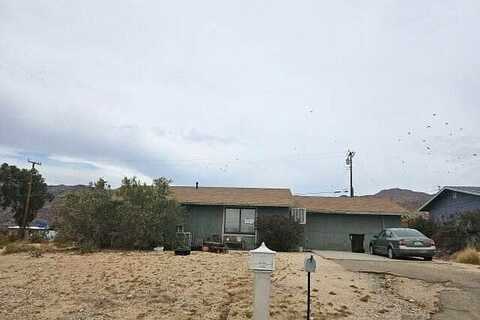 Cactus, TWENTYNINE PALMS, CA 92277