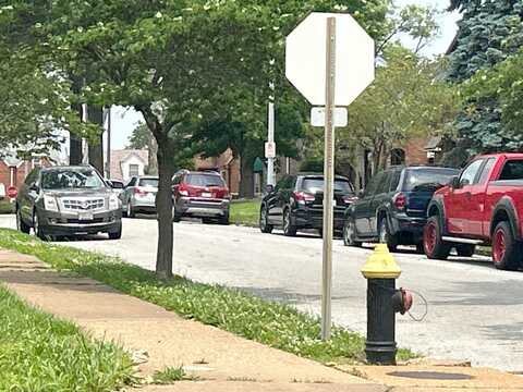 Partridge, SAINT LOUIS, MO 63147