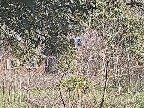 Hwy 19 S, Baconton, GA 31716