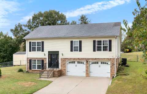 Barney, CLARKSVILLE, TN 37042