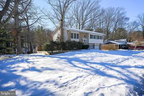 Whitson, SPRINGFIELD, VA 22153