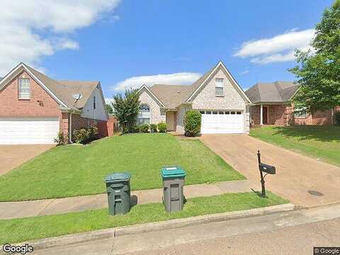 Green Turtle, CORDOVA, TN 38016