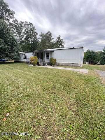 Black Bear, CROSSVILLE, TN 38571