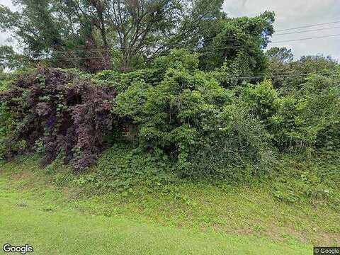 Reddick, QUITMAN, GA 31643