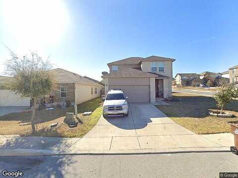 Butterfly, SAN ANTONIO, TX 78245