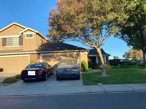 Sunshine, DANVILLE, CA 94506