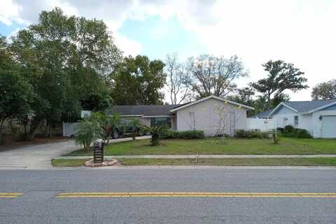 Guinevere, CASSELBERRY, FL 32707
