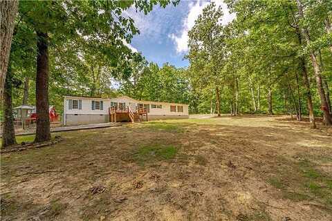 Bunch Mountain, ADAIRSVILLE, GA 30103