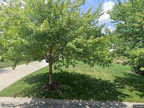 Sugar Maple, WEST BLOOMFIELD, MI 48324