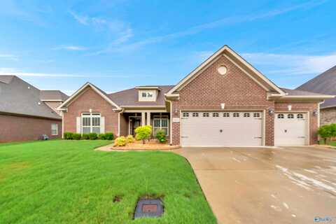 Legacy Cove Drive S, Madison, AL 35756