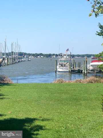 Holly Tree, MIDDLE RIVER, MD 21220