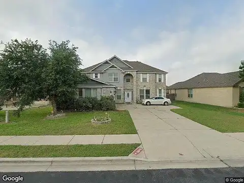 Pencil Cactus, PFLUGERVILLE, TX 78660