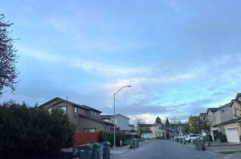 Spoonbill, WEST SACRAMENTO, CA 95691