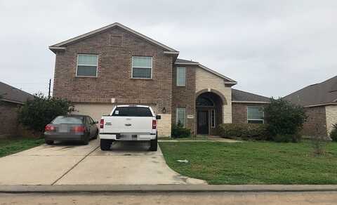 Silver Tea, HOCKLEY, TX 77447