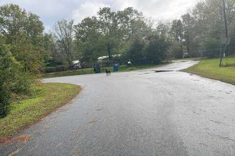 Fiddie, SUMMERVILLE, SC 29485