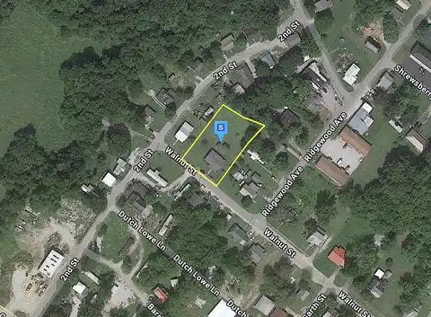 Walnut, MONTICELLO, KY 42633