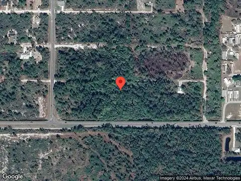 Pigeon, SEBRING, FL 33870