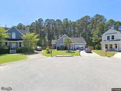 Salamander, HUGER, SC 29450