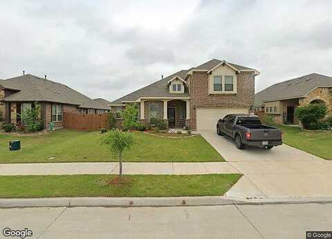 Cassinia, FORNEY, TX 75126