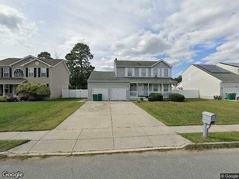 Genista, GALLOWAY, NJ 08205