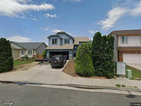 Daylilly, COLORADO SPRINGS, CO 80916