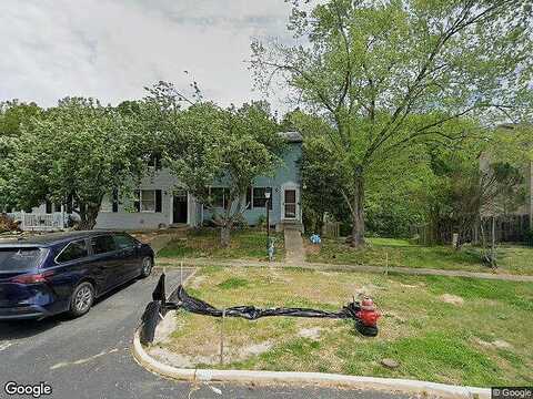 Pecan, FREDERICKSBURG, VA 22407