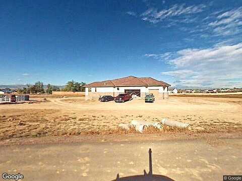 Nesting Crane, LONGMONT, CO 80504