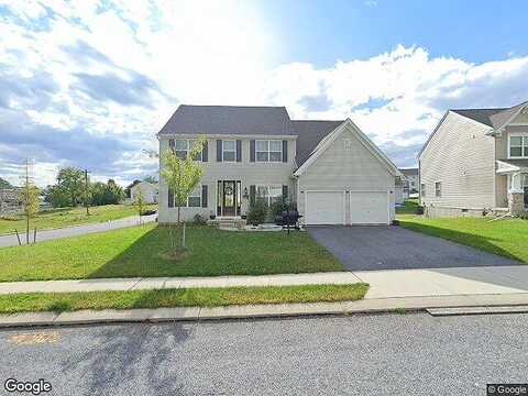 Chickory, STEWARTSTOWN, PA 17363