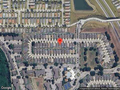 Fan Palm, KISSIMMEE, FL 34747