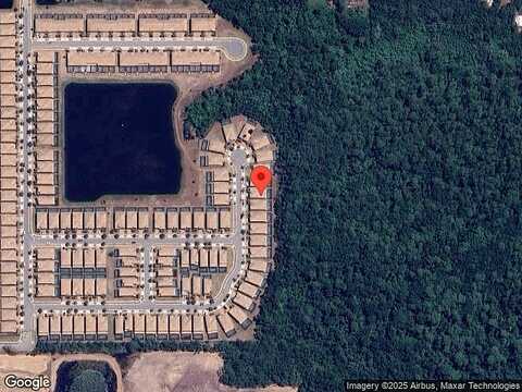 Bengal, KISSIMMEE, FL 34747