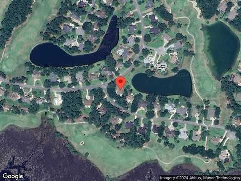 Larkspur, SAINT MARYS, GA 31558