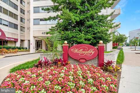 Willard Ave, Chevy Chase, MD 20815