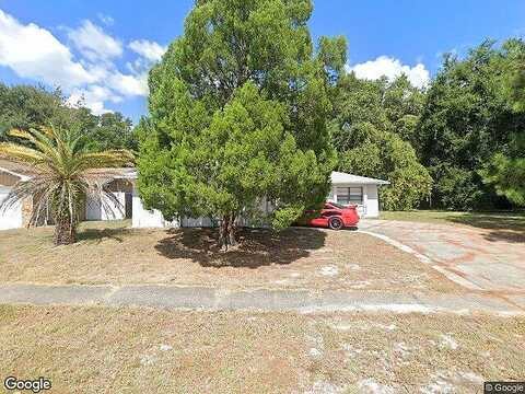 Pecan Tree, HUDSON, FL 34669