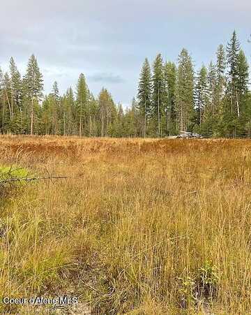 Nna Toad Rd, Priest River, ID 83856