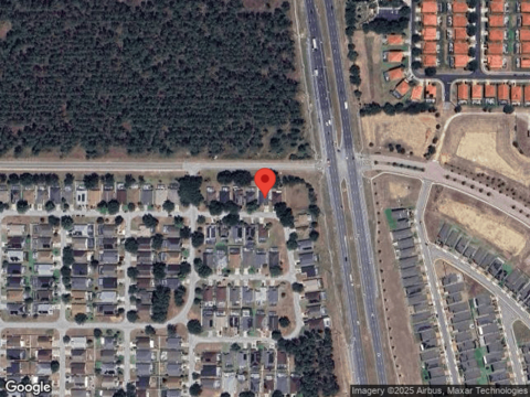 Pine Cone, DAVENPORT, FL 33897