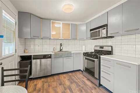 Condalia, YUCCA VALLEY, CA 92284