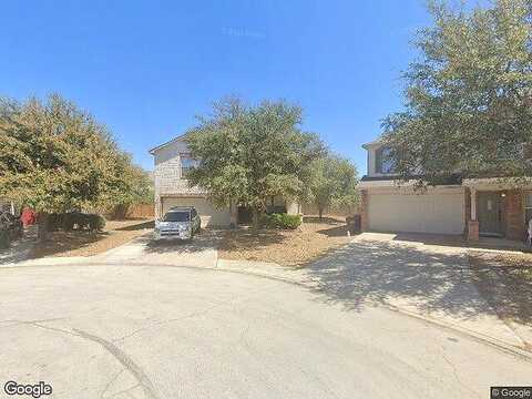 Amber Tree, SAN ANTONIO, TX 78254