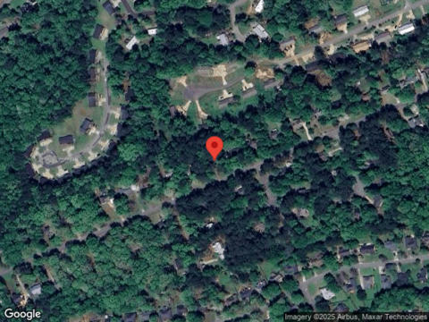 Shadow Moss, ATHENS, GA 30605