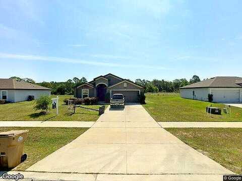 Callicarpa, LEESBURG, FL 34788