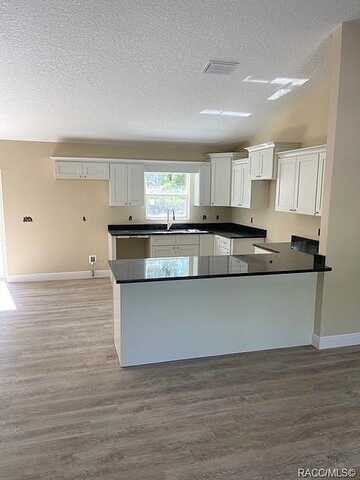 Saponaria, CITRUS SPRINGS, FL 34433