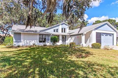 Pizarro, LECANTO, FL 34461
