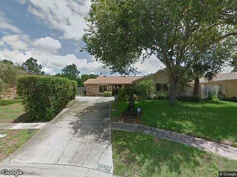 Bluejay, TAMPA, FL 33625