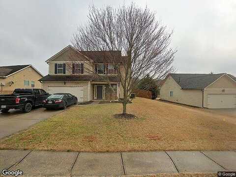 Red Hawk, DAWSONVILLE, GA 30534